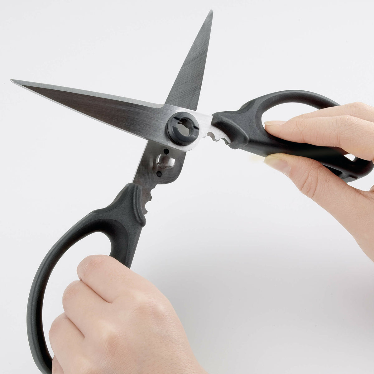 kitchen-and-herb-scissors-v6 gg_1072121_4_1_.jpg