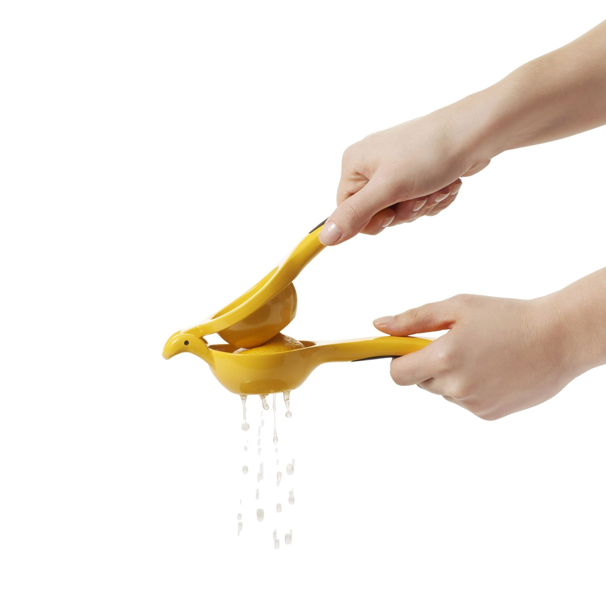 citrus-squeezer-o8 gg_1057962_4b.jpg