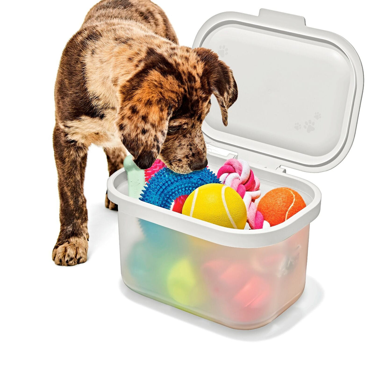 oxo-pet-multi-purpose-container-w2 pet_7301300_multi-purpose-container_pdp_06.jpeg